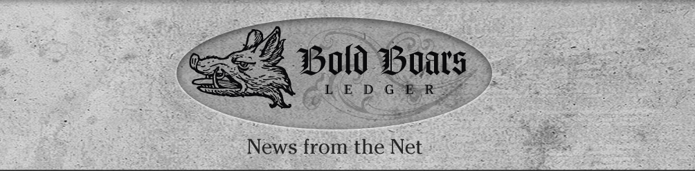 Bold Boars Ledger
